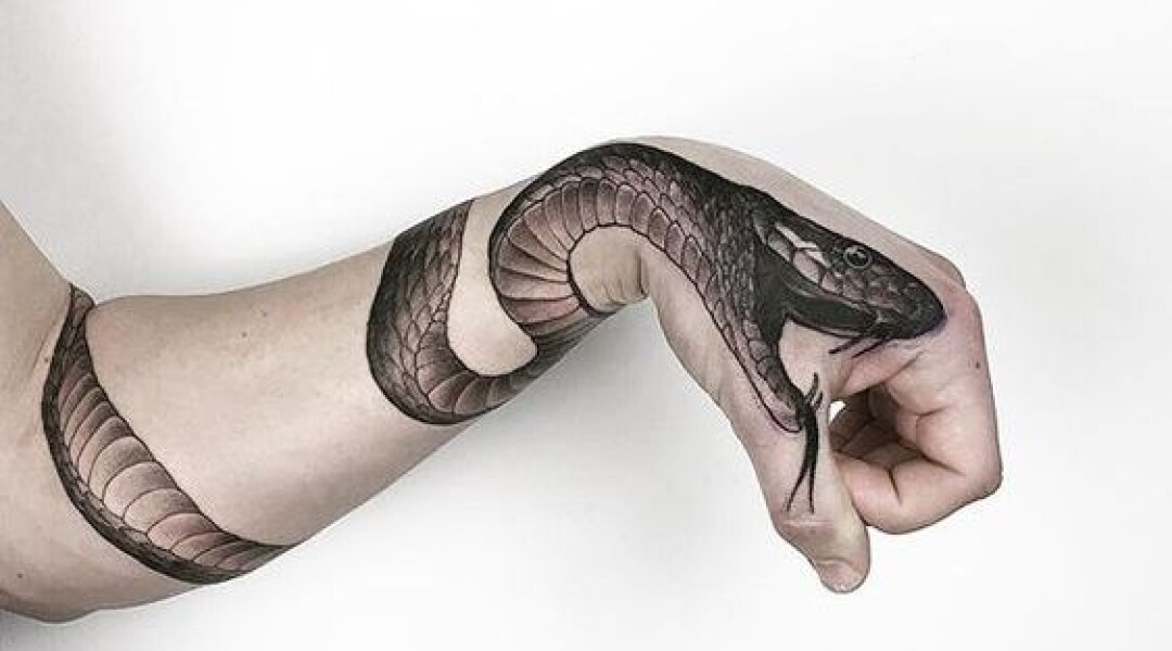 Как открыть змея геншин. Тату змея. Змея на руке. Тату змея на руке. Тату на руке змея для мужчин.