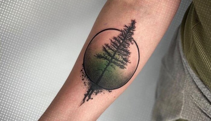 Татуировка дерево на позвоночнике thumbnail