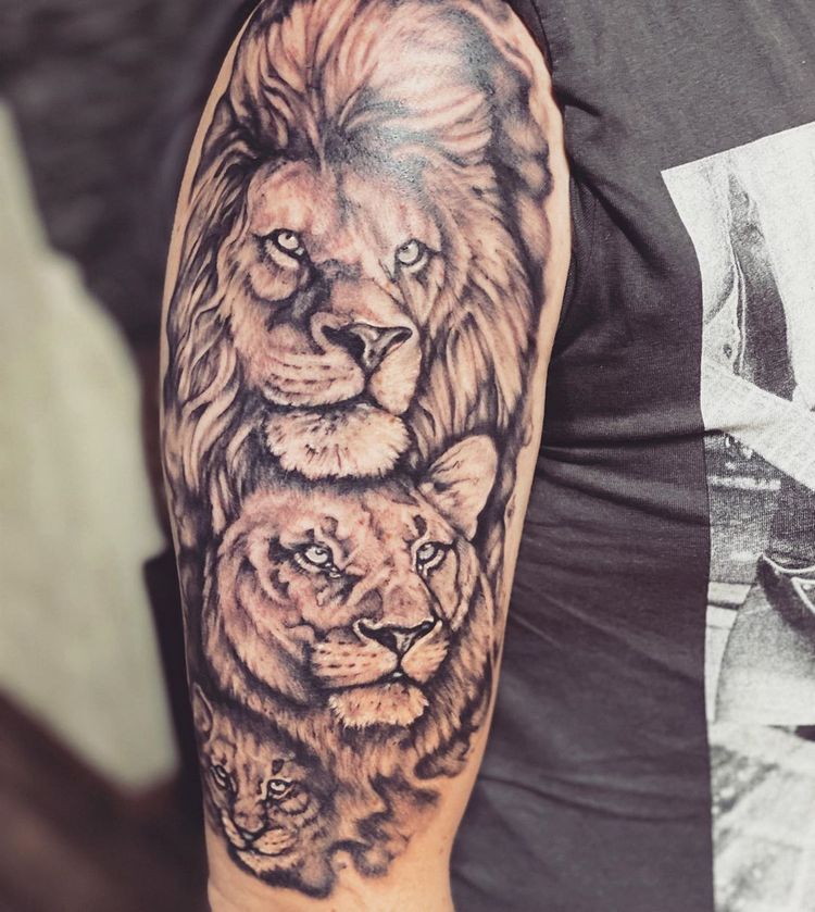 Тату на плече мужские львы и львята