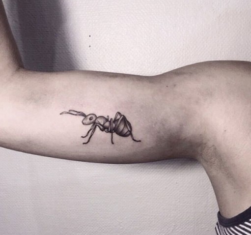 Фото и эскизы тату муравей. Значение татуировки муравей | Tattoo