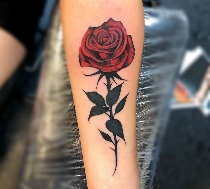 Тату красная роза на руке
